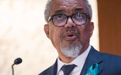 WHO Berhasil Kirim Bantuan Medis Pertama ke Gaza