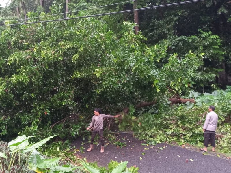 Polisi Gercep Bantu Evakuasi Pohon Tumbang Saat Banjir Terjang Kepulauan Selayar