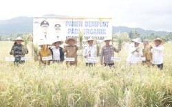 Panen Demplot Padi Organik di Karambua, Bupati Irwan: Semangat Baru Tingkatkan Produktifitas Pertanian