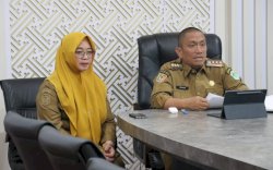 Keynote Speaker Webinar Internasional Nurses Day 2025, Bupati Irwan Bachri Syam Paparkan Program Kartu Sehat