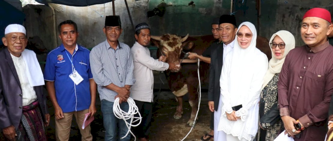 Bupati Irwan bersama Wabup Puspawati, Ketua TP PKK, dan Kapolres Luwu Timur, menyerahkan hewan kurban berupa sapi dari Presiden RI, Prabowo Subianto seberat 904 kg kepada panitia kurban Masjid Agung Malili untuk disembelih dan dibagikan kepada masyarakat.