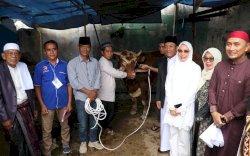 Iduladha 1446 H, Bupati Irwan Tekankan Semangat Berkurban Simbol Keikhlasan 