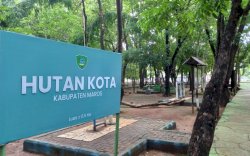 Pemkab Maros Anggarkan Rp200 Juta untuk Perbaikan Alat Olahraga di Hutan Kota