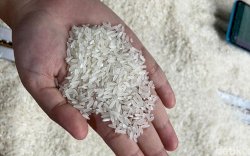 Inflasi Terus Merangkak, Beras Dominasi Kenaikan Harga Juli 2025