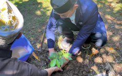 Lewat 10.000 Pohon, PRIMA DMI Sulsel Gagas Masjid Ramah Lingkungan dan Mandiri Pangan