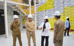 Wagub Fatmawati Rusdi Dampingi Ketua Komisi IV DPR RI Tinjau Stok Beras Bulog Makassar