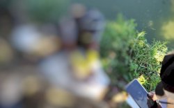 Bayi Terbungkus Sarung Dibuang di Tepi Danau Mawang