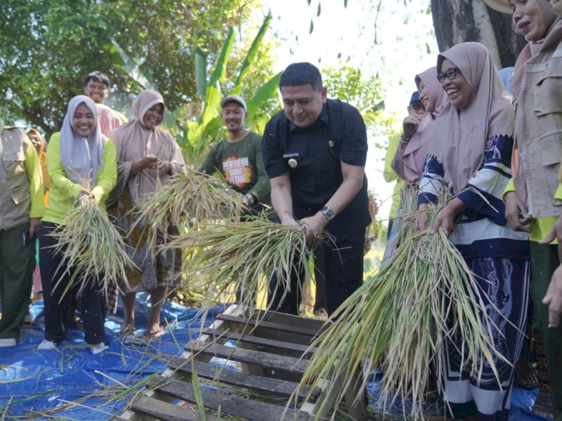 Munafri: Urban Farming Jawaban Ancaman Krisis Pangan Makassar