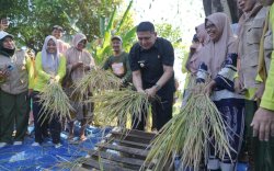 Munafri: Urban Farming Jawaban Ancaman Krisis Pangan Makassar