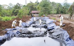 PT Vale Komitmen Hentikan Kebocoran, Siap Pulihkan Lingkungan dan Tangani&nbsp;Dampak