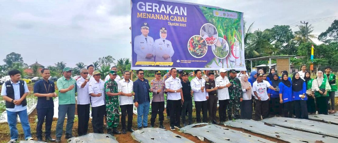 Gerakan Tanam Cabai Tahun Anggaran 2025, yang dipusatkan di lahan KWT Anggrek, Desa Pasi-Pasi, Kecamatan Malili, Rabu, 9 Juli 2025.