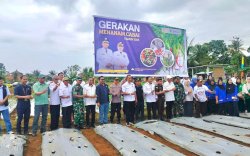 Komitmen Majukan Sektor Pertanian, Tujuh Program Ini Jadi Prioritas Pemkab Luwu Timur
