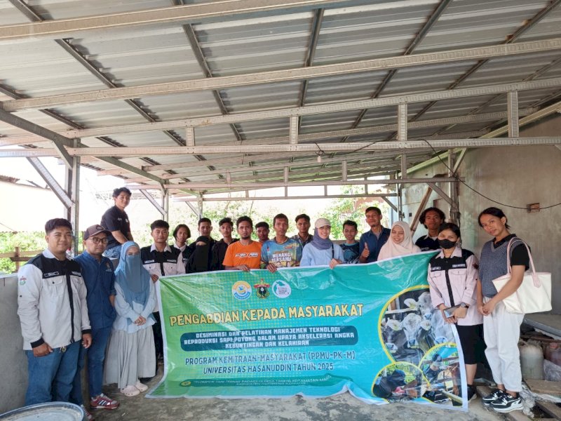 Pelatihan Teknologi Reproduksi Sapi Potong Dorong Peningkatan Produktivitas Peternak di Sidrap