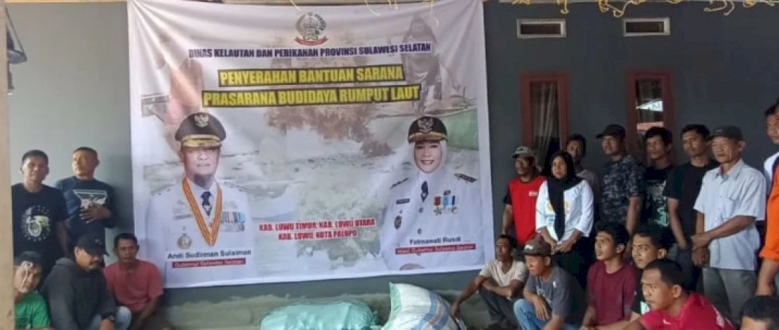 Pemprov Sulsel Perkuat Ekonomi Biru, Salurkan 2.000 Paket Bibit Rumput Laut di Luwu Raya