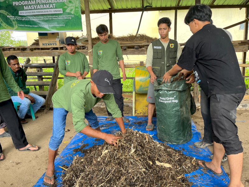 Mahasiswa Unhas Dampingi Peternak Pattiro Deceng Olah Limbah Ternak Jadi Kompos Bernilai Ekonomi