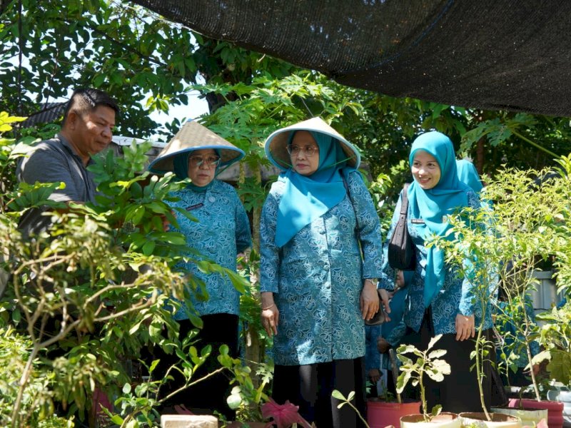 Ketua TP PKK Majene Kunjungi Lorong Hatinya PKK dan TPS3R di Kecamatan Ujung Pandang