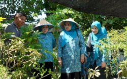 Ketua TP PKK Majene Kunjungi Lorong Hatinya PKK dan TPS3R di Kecamatan Ujung Pandang