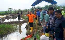 Tinjau Lokasi Kebocoran Pipa Minyak PT Vale, Bupati Irwan Bachri Syam Harap Perbaikan Selesai Sebelum 5 September 