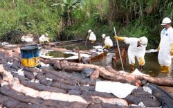 Penanganan Tumpahan Minyak PT Vale di Luwu Timur Libatkan Pusat Pengurangan Risiko Bencana UI