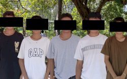 Lima Remaja di Selayar Tertangkap Tangan Curi Buah Kelapa, Korban Rugi Jutaan Rupiah