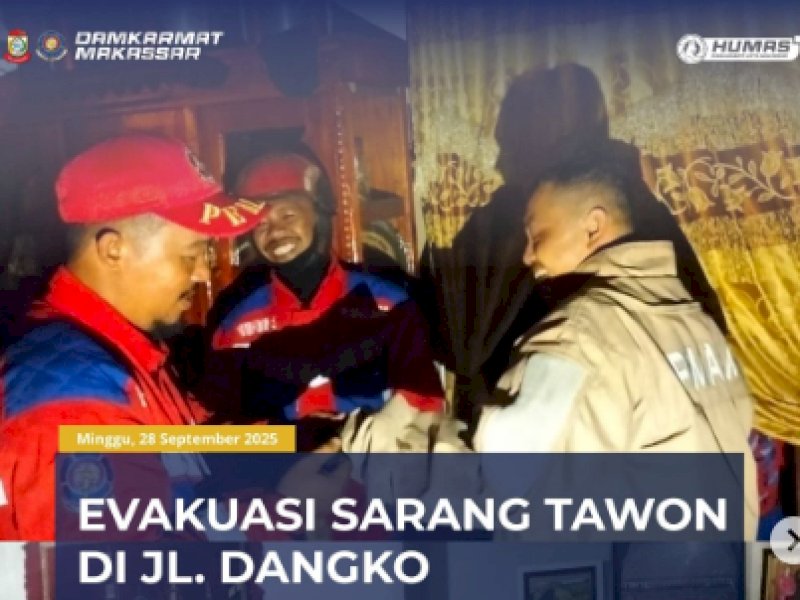 Respon Cepat, Petugas MAKO Damkarmat Makassar Evakuasi Sarang Tawon di Atap Rumah Warga