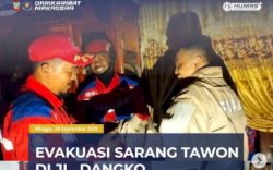 Respon Cepat, Petugas MAKO Damkarmat Makassar Evakuasi Sarang Tawon di Atap Rumah Warga