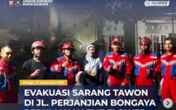 Evakuasi Sarang Tawon di Perumahan The Flower, Petugas MAKO Damakarmat Makassar Bergerak Cepat