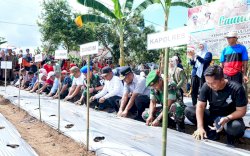 Launching Kebun MBG Terintegrasi, Gubernur Sulsel: SPPG Wajib Serap Pangan Lokal