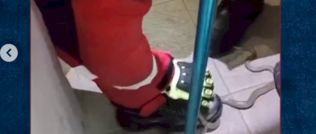 Petugas Damkar Makassar Evakuasi Ular di Dalam Warkop, Aksi Cepat Bikin Warga Lega