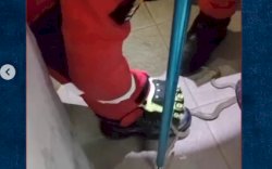 Petugas Damkar Makassar Evakuasi Ular di Dalam Warkop, Aksi Cepat Bikin Warga Lega