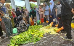 Dana Desa untuk Ketahanan Pangan, Pemkab Bone dan CIFOR-ICRAF Dorong Masyarakat Tanam Sayuran di Pekarangan
