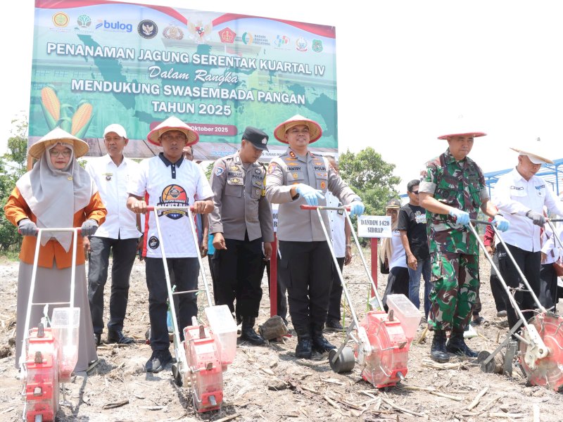 Pemkab Sidrap Laksanakan Tanam Jagung Serentak Kuartal IV, Tegaskan Dukungan Swasembada Pangan