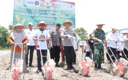 Pemkab Sidrap Laksanakan Tanam Jagung Serentak Kuartal IV, Tegaskan Dukungan Swasembada Pangan