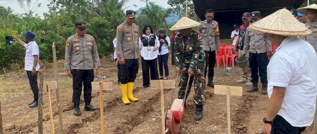 Bulog Kantor Cabang (KC) Palopo berkolaborasi dengan Polres Luwu Timur menggelar Tanam Jagung Serentak Kuartal IV, Rabu, 8 Oktober 2025.

