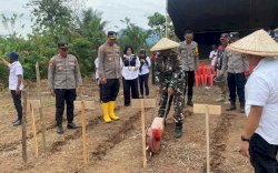 Dukung Program Nasional Swasembada Pangan, Bulog KC Palopo - Polres Luwu Timur Tanam Jagung Serentak
