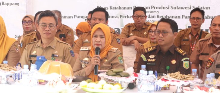 Sinergi Pemprov dan Pemkab, Gerakan Pangan Murah Warnai HUT ke-356 Sulsel di Sidrap