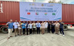 Sulsel Ekspor 60 Ribu Buah Kelapa ke Vietnam