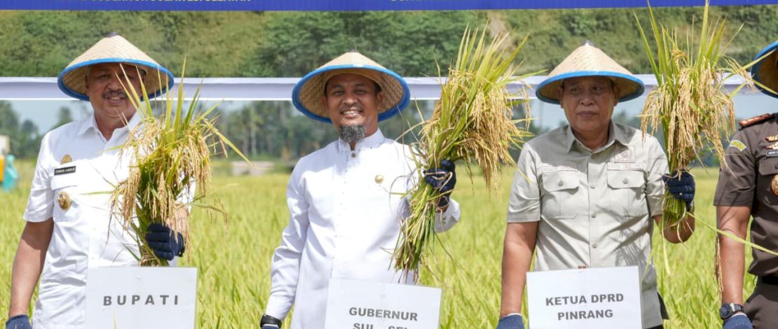 Panen Raya Padi di Pinrang, Gubernur Sulsel Serahkan Bantuan Rp20 Miliar untuk Infrastruktur dan UMKM