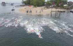 Perenang dari Koarmada II dan UKM Unhas Taklukkan Laut Makassar di Ajang Navy Open Water Sport Perenang dari Koarmada II dan UKM Unhas Taklukkan Laut Makassar di Ajang Navy Open Water Sport