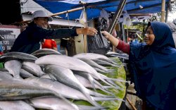 Ikan Bandeng dan Bawang Merah Jadi Penyumbang Inflasi di Luwu Timur
