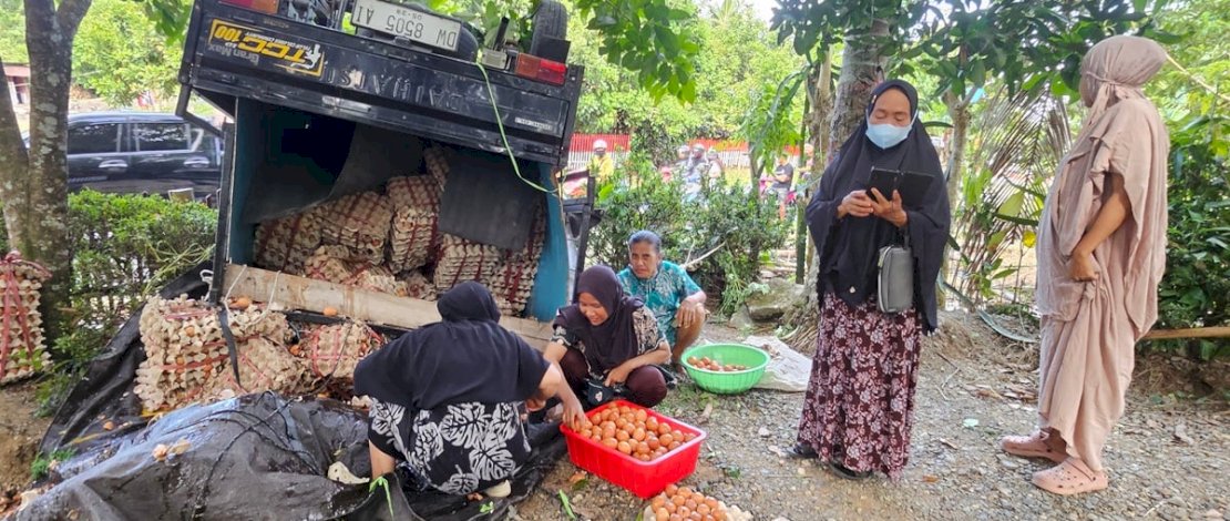 Sebuah mobil pick up bermuatan ratusan rak telur dengan nomor polisi DW 8505 AI mengalami kecelakaan tunggal di Dusun Tellongeng, Desa Tellongeng, Kecamatan Mare, Kabupaten Bone, Jumat, 7 November 2025, sekitar pukul 14.30 WITA.