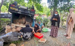 Mobil Pick Up Bermuatan Telur di Bone Terbalik, Pemilik Rugi Puluhan Juta Rupiah