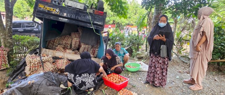 Mobil Pick Up Bermuatan Telur di Bone Terbalik, Pemilik Rugi Puluhan Juta Rupiah
