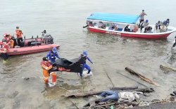 Mayat Pria Ditemukan di Pesisir Pulau Lae-lae Makassar, Basarnas: Korban Dievakuasi ke RS Bhayangkara