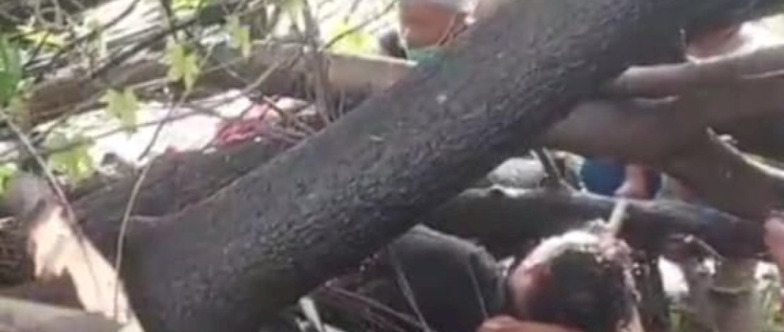 Sebuah pohon besar jenis tamate tumbang dan menimpa seorang pengendara motor di Jalan Dokter Leimena, Kecamatan Manggala, Kota Makassar, Sabtu, 15 November 2025.