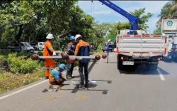 PLN Beberkan Penyebab Robohnya Tiang Listrik di Tanjung Bunga