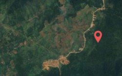 Sah Secara Hukum! Eks Lahan Kompensasi PLTA Karebbe Milik Pemkab Luwu Timur