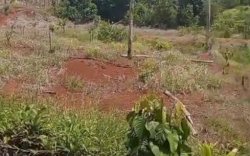 Sewa Lahan ke PT IHIP Ditentukan KJPP Independen