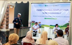 BI Perkuat Ketahanan Pangan, Panen Perdana Padi Gamagora 7 di Maros dengan Produktivitas Fantastis