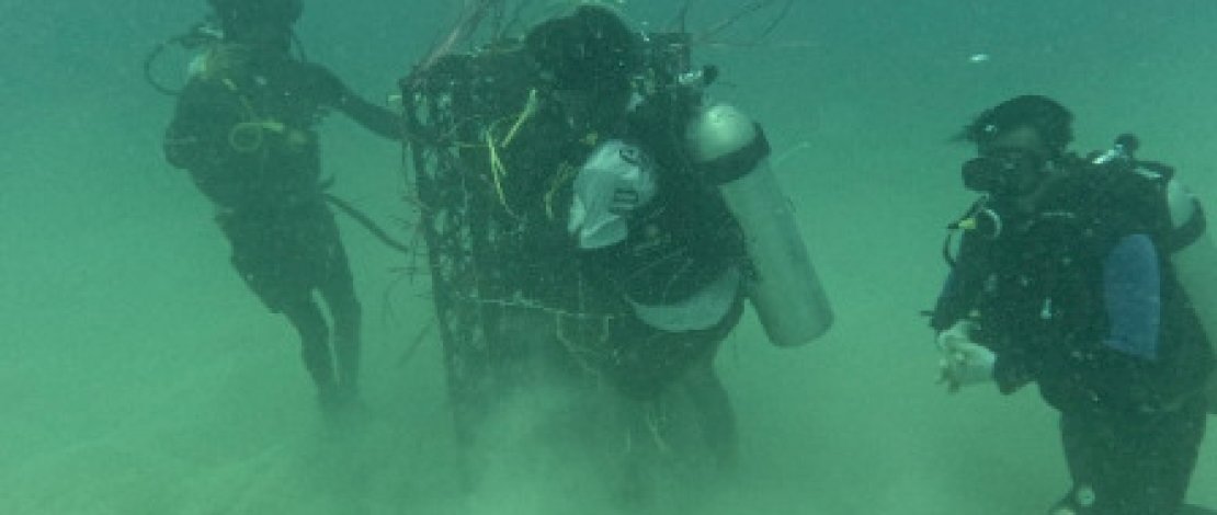 DKP Sulsel telah membangun 1.657 unit apartemen ikan selama tahun 2025 untuk pengembangan kawasan perikanan rakyat.